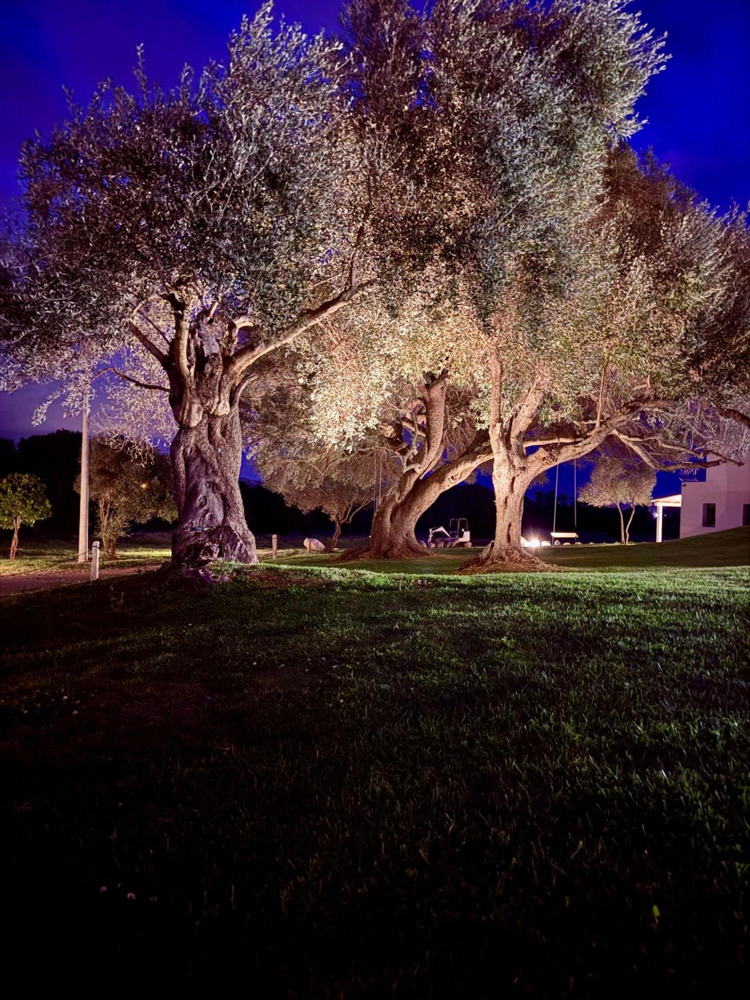 Uddastri Retreat Arzachena Exteriér fotografie